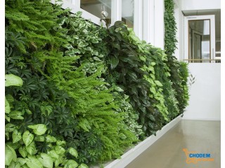 Xu hướng thiết kế tường cây xanh trong nhà