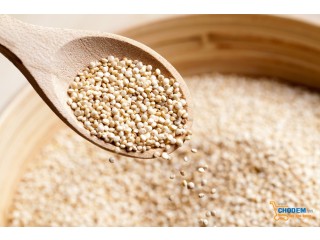Lựa chọn giảm cân với hạt quinoa