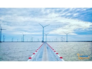 Nghiên cứu mới về phát triển điện gió