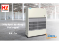 may-lanh-tu-dung-daikin-20hp-may-lanh-tu-dung-dat-san-noi-ong-gio-small-0