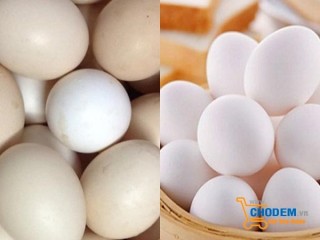 Những vấn đề liên quan đến trứng bạn cần biết