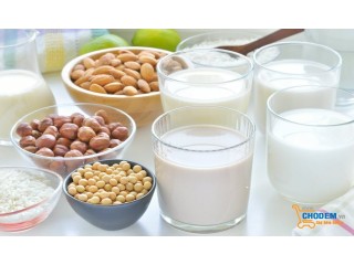 Những hiểu biết về sữa hạt đang hot trên thị trường