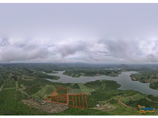 Đất sào View hồ đẹp nhất Bảo Lộc Đường oto, cam kết mua lại