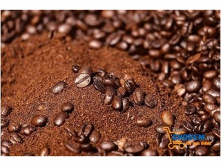 Ứng dụng bã cà phê vào sản xuất năng lượng